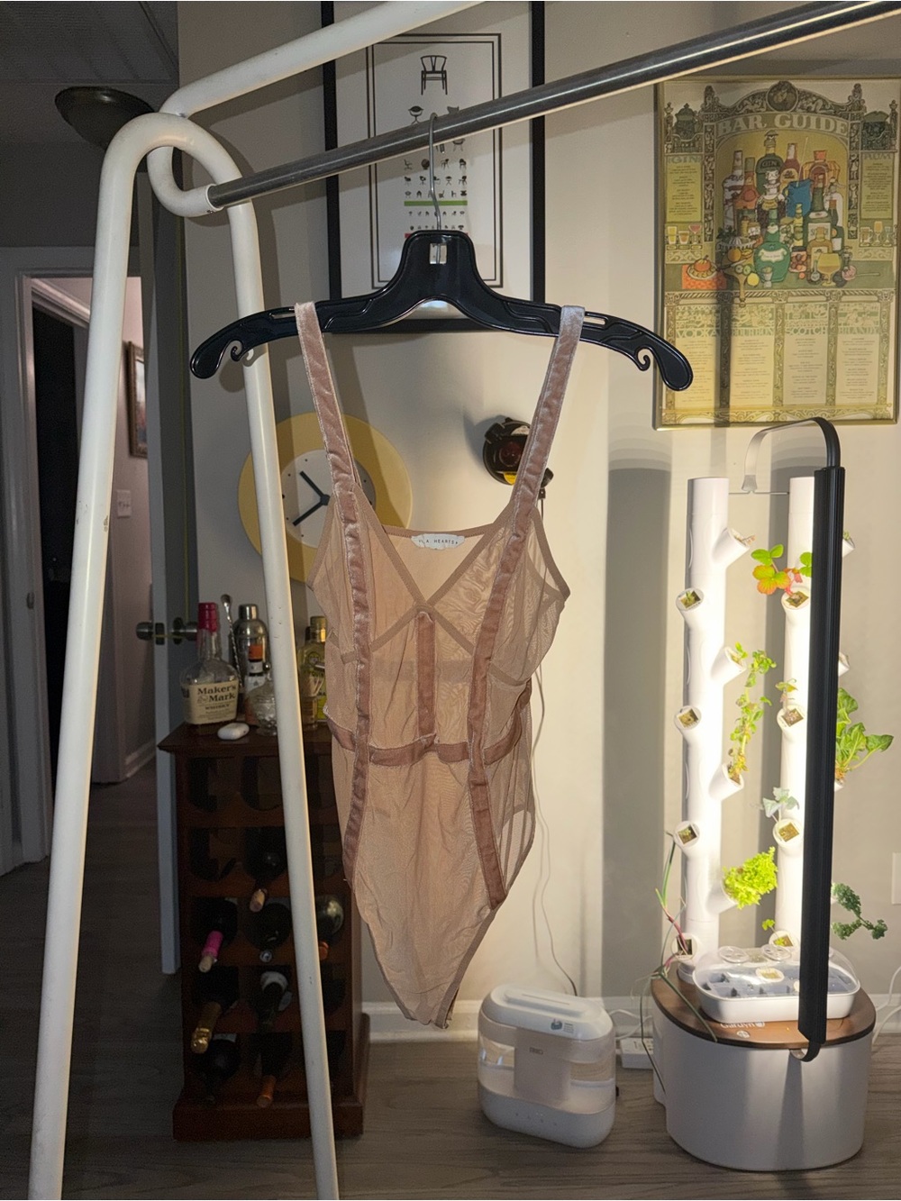 Sheer Mesh Bodysuit Teddy in Blush by Pacsun. LA Hearts